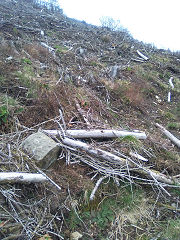 Cwmcarn boundary stone 7 at ST 24444 94289, © Photo courtesy of Robert Kemp
