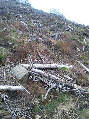 
Cwmcarn boundary stone 7 at ST 24444 94289, © Photo courtesy of Robert Kemp