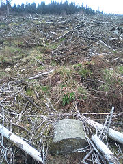 
Cwmcarn boundary stone 7 at ST 24444 94289, © Photo courtesy of Robert Kemp