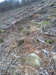 
Cwmcarn boundary stone 8 at ST 24312 94103, © Photo courtesy of Robert Kemp