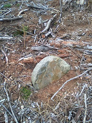 
Cwmcarn boundary stone 8 at ST 24312 94103, © Photo courtesy of Robert Kemp