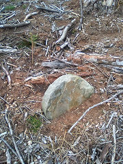 Cwmcarn boundary stone 8 at ST 24312 94103, © Photo courtesy of Robert Kemp
