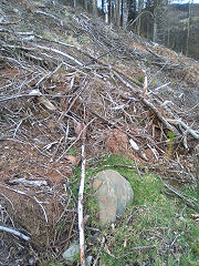 
Cwmcarn boundary stone 9 at ST 24278 94059, © Photo courtesy of Robert Kemp
