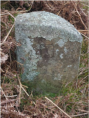 
'E', side 1 of a triangular stone with 'JCH XV' on reverse © Photo courtesy of Lawrence Skuse