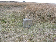 'Edlogan', Mynydd Maen, with small building in the background, unknown photographer