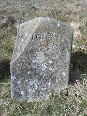 
'Edlogan Abercarn' stone 1 at ST 25646 98022, © Photo courtesy of Robert Kemp