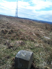 
'Edlogan Abercarn' stone 2 at ST 25702 98063, © Photo courtesy of Robert Kemp