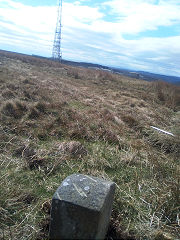 'Edlogan Abercarn' stone 2 at ST 25702 98063, © Photo courtesy of Robert Kemp