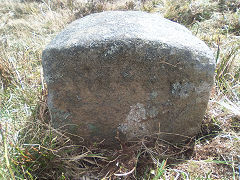 
'Edlogan Abercarn' stone 5 at ST 25873 98215, © Photo courtesy of Robert Kemp