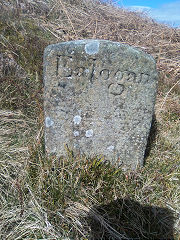 
'Edlogan Abercarn' stone 6 at ST 25938 98258, © Photo courtesy of Robert Kemp