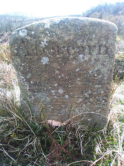 
'Edlogan Abercarn' stone 6 at ST 25938 98258, © Photo courtesy of Robert Kemp