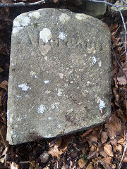 
'Edlogan Abercarn' stone 7 at ST 26013 98247, © Photo courtesy of Robert Kemp