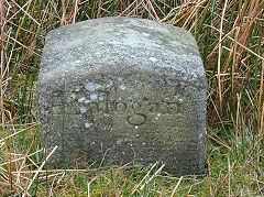 'Edlogan' with 'Abercarn', photo courtesy of Lawrence Skuse