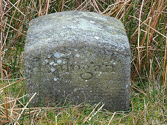 
'Edlogan' with 'Abercarn', photo courtesy of Lawrence Skuse