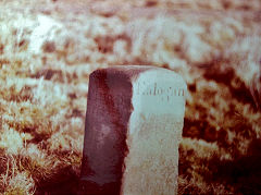 
'Edlogan' and 'Magna Porta', possibly near Abercarn, © Photo courtesy of Phil Davies