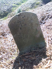 'JCH II' with 'E', © Photo courtesy of Robert Kemp
