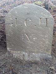 'JCH IV' with 'MP', © Photo courtesy of Robert Kemp