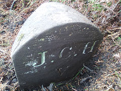 'JCH V' with 'E', © Photo courtesy of Robert Kemp