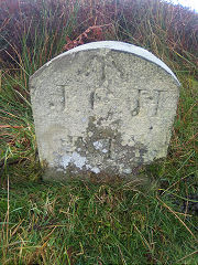 'JCH VI' with 'E', © Photo courtesy of Robert Kemp