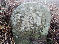 'JCH VIII' with 'E', © Photo courtesy of Robert Kemp