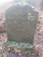'JCH IX' with 'E', © Photo courtesy of Robert Kemp
