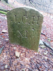 'JCH XI' with 'E', © Photo courtesy of Robert Kemp