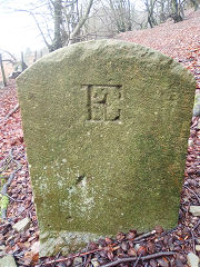 'JCH XI' with 'E', © Photo courtesy of Robert Kemp