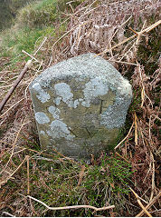 
'JCH XV' on a triangular stone with 'E' Edlogan on the other sides, photo courtesy of Lawrence Skuse