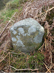 
'JCH XV' on a triangular stone with 'E' Edlogan on the other sides, photo courtesy of Lawrence Skuse