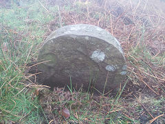 
'L', either Leigh or Llanover, blank on reverse, at ST 2641 9747, photo courtesy of Robert Kemp