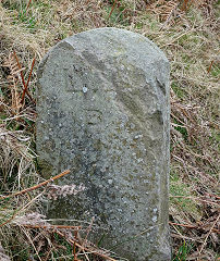 
'LUP', Llanfrechfa Upper Parish, stone 3 with 'PP' on reverse, © Photo courtesy of Lawrence Skuse