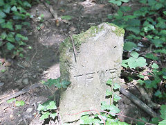 'TFWB', Taff Fechan Water Board boundary or pipeline marker, Tir-y-berth, Rhymney Valley, August 2021