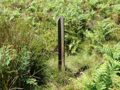 
A headless 'WBM' type post, Waunwen, Abersychan