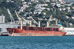 'Arawana' at Wellington, New Zealand, January 2017