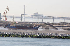 
'Frejar', the Cadiz dredger at work, March 2014