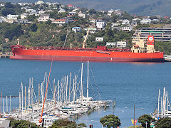 'Grand Winner 1' at Miramar, Wellington, New Zealand, January 2023