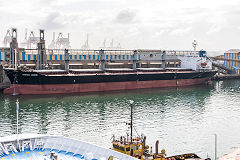 'Harvest Legend' at Casablanca, May 2016