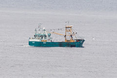 
'Valente BS8' off Port Eynon, South Wales, September 2015