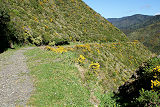 Rimutaka Incline