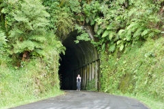 Makahu Tunnel