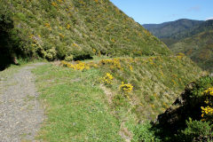 The Rimutaka Incline near Siberia