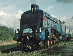 'Sir Nigel Gresley' at Hereford