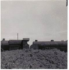 Woodhams Yard, Barry, 30841, May 1966