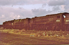 Woodhams Yard, Barry, 35022 'Holland America Line', July 1975