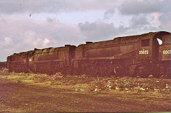 
Woodhams Yard, Barry, 35022 'Holland America Line', July 1975