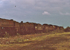 Woodhams Yard, Barry, July 1975