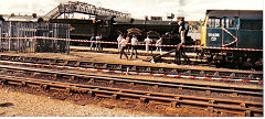 
Cardiff Canton open day, 7029 'Clun Castle', August 1985