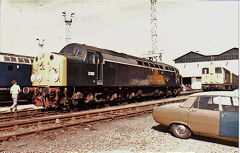 
Cardiff Canton open day, D200, August 1985