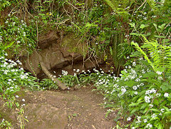 
Cefn-Onn small adit, May 2009