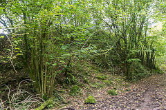 
Caerphilly tunnel ventilation shaft No3 waste tips, September 2014